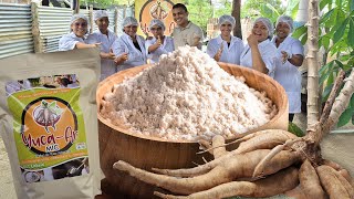 ✅️Cómo hacer HARINA DE YUCA en casa para arepas tortillas y panes SIN GLUTEN♥️ [upl. by Tniassuot94]