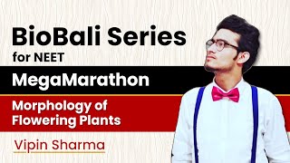 Morphology of Flowering Plants MegaMarathon  BioBali Series for NEET ft Vipin Sharma [upl. by Fenella433]