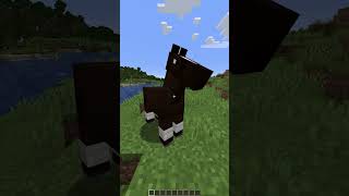 Se llamaba el caballo jsjs minecraft minecraftshorts humor humorviral mods palo [upl. by Onitsoga]