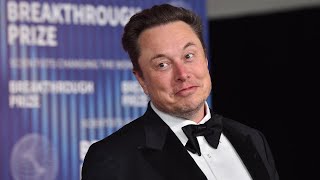 Elon Musk offers 1 million urging Americans sign constitution pledge petition [upl. by Ennaharas]