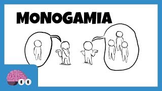 LA MONOGAMÍA Es Una UTOPÍA 😳 El Hombre Provee La Mujer Administra y Potencia ¿POLIAMOR🌟 [upl. by Anneirda]