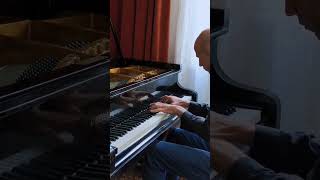 Liszt  Hungarian Rhapsody No 2 [upl. by Ng945]