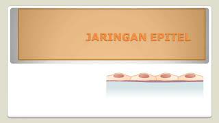 Jaringan Epitel [upl. by Eiramac]