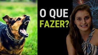 OS ANIMAIS PODEM VER ESPÍRITOS 😱  Fran te Explica [upl. by Hollingsworth]