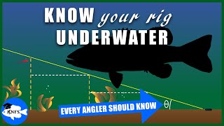 DropShot Fishing Optimization  Understanding Play Height Underwater [upl. by Olleina]