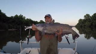 Post Spawn Yadkin River Catfish [upl. by Mariellen]