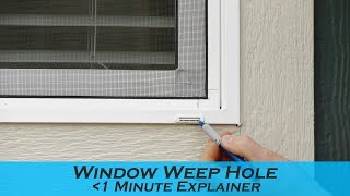 How Window Weep Holes Keep Your Windows Dry [upl. by Ylro]