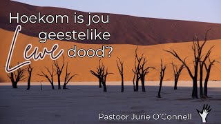 20241103 Is jou geestelike baba dood  Past Jurie OConnell [upl. by Eleik]