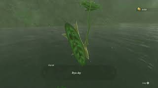 Korok Seed 695696 Squabble River  The Legend of Zelda Tears of the Kingdom NS [upl. by Dryfoos]