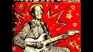 Hound Dog Taylor  Sitting Here Alone [upl. by Iadahs]