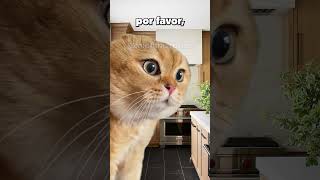 🙀 IA MEMES DE GATOS 20😹 Historias humor minecraft intensamente2 [upl. by Bikales]