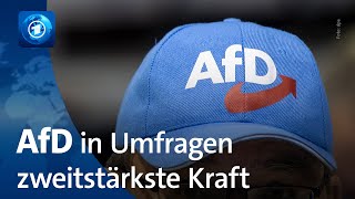 ARDDeutschlandTrend Ampelkoalition ohne Mehrheit AfD zweitstärkste Kraft [upl. by Inajar829]