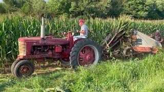 Lanesville Indiana heritage weekend corn cutting 8222023 [upl. by Eustatius]