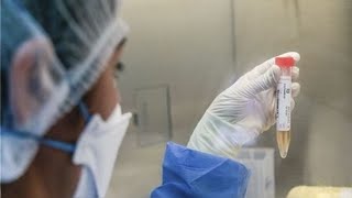 Coronavirus Fallas en las pruebas moleculares y rápidas de la COVID19 en Estados Unidos [upl. by Nicolella]