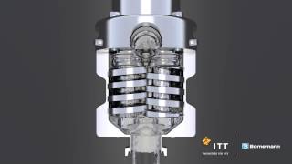 ITT Bornemann SLH 4G pumpe Funktionsprinzip [upl. by Aarika]