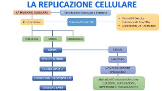 LA REPLICAZIONE CELLULARE IN 5 MINUTI [upl. by Annaeerb]