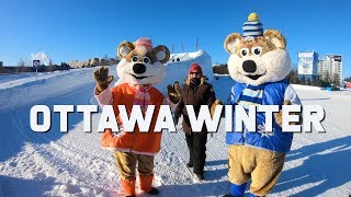 Things to do in Ottawas Winterlude  Ottawa Travel Guide  The Planet D Travel Vlog [upl. by Calica]