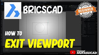 BricsCAD How To Exit Viewport [upl. by Laram]