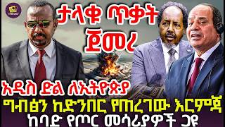 የጠላቶችን አከርካሪ የሰበረ እርምጃ ተፈጸመየግብፅ ከባባድ የጦር መሳሪያዎችች ዶግ አመድ ሆኑ [upl. by Russo]