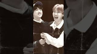 2seok🫶💜💜seokjin jin jhope bts video shorts [upl. by Eusoj401]