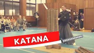 Tameshigiri Master demonstrates how useless a katana is without the proper technique [upl. by Kegan]