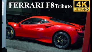 Ferrari F8 Tributo Death is no More 4K [upl. by Major]