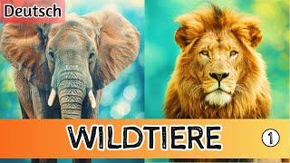 Kennenlernen der Wildtiere Ein Muss für Kinder Teil 1 [upl. by Gnuoy]