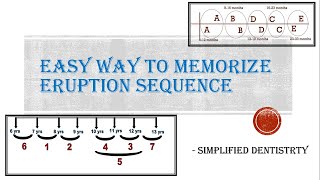 Eruption Sequence of Primary and Permanent Teeth [upl. by Drexler]