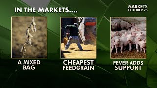 Farmweek Markets  October 25 2018 [upl. by Elmina404]