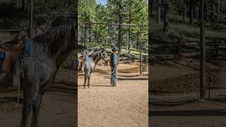 Horseback Trailride at Bryce Canyon National Park [upl. by Dloraj]