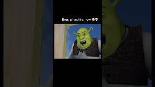 Ogre slayer 😭💀 funny  meme [upl. by Wehner493]