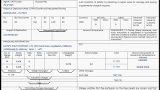Air Waybill rellenado [upl. by Anayaran]