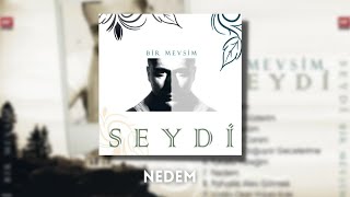 Seydi  Nedem  2012 [upl. by Lesiram]