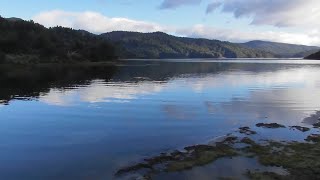 Lake Waikaremoana Great Walk Te Urewera Forest [upl. by Noah]