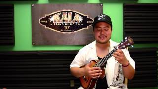 Easy Uke Songs  Price Tag  Jesse J Ukulele Tutorial  Chords [upl. by Davide]