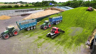 XXL Ensilage de SEIGLE 2024  ETA Desimpel Francis et Julien [upl. by Yeniffit725]