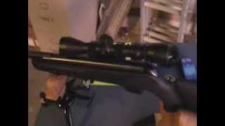 GAMO Air Rifle Tweaking Part 1 [upl. by Anya]