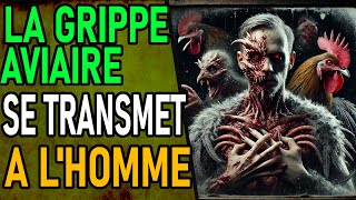 LA GRIPPE AVIAIRE Se Transmet Aux Humains [upl. by Krasnoff716]