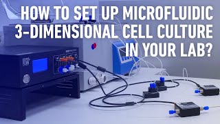 How to set up microfluidic 3Dimensional Cell Culture in your lab [upl. by Lejna608]