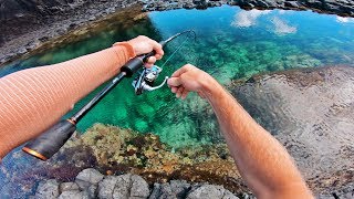 Amazing Fishing in Crystal Clear Rock Pools [upl. by Mccall]