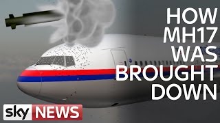 MH17 Air Crash Investigation What Caused Disaster [upl. by Maffei]