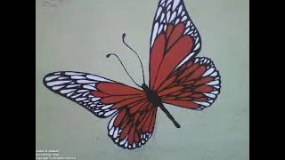 Beautiful red white and black butterfly drawn on the wall of the flower shop Nature amp Animals [upl. by Dorothy61]