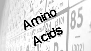 Amino Acids [upl. by Petrina]