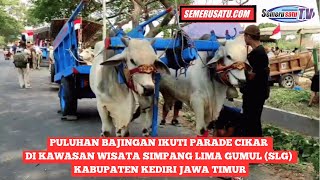 PULUHAN BAJINGAN IKUTI PARADE CIKAR [upl. by Selyn894]