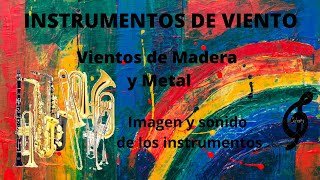 Instrumentos de viento Aerófonos de madera y metal 🎷🎺 [upl. by Yahiya664]