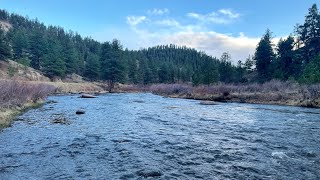 Early Spring Evening On The River  Colorado Fly Fishing [upl. by Bastian]