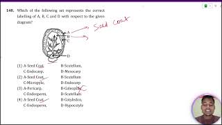 Which of the following set represents the correct labelling of AB C and D with respect to the giv [upl. by Eillac]