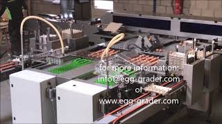 DAMTECH EGrader 40 egg grader [upl. by Wakefield]