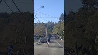 Ferntree Gully Melbourne Drive 🇭🇲🌲 shorts [upl. by Ewald815]