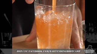 How to make a Peach Martini  Drink recipes from Bartending Bootcamp [upl. by Iggie]